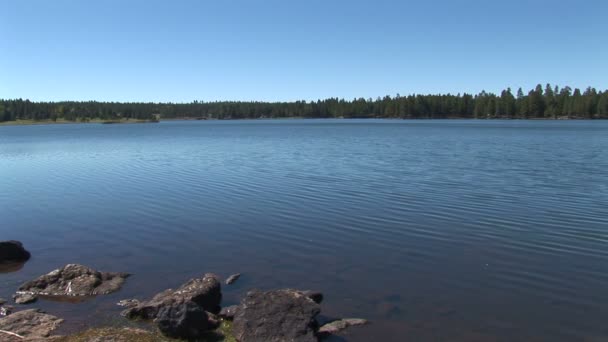 Jezero a břehu jezera Pinetop — Stock video