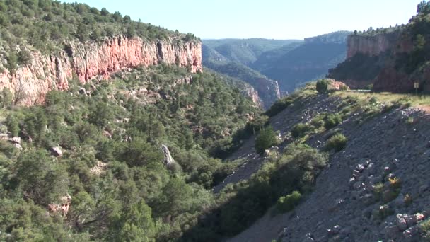 Zout rivier Gorge in Arizona — Stockvideo