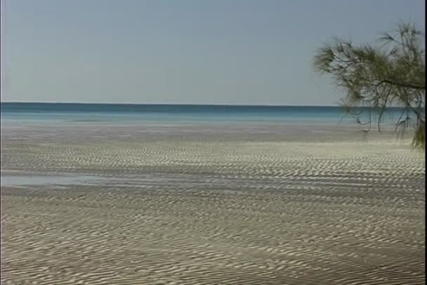 Playa Dorada en las islas Bahamas — Vídeo de stock