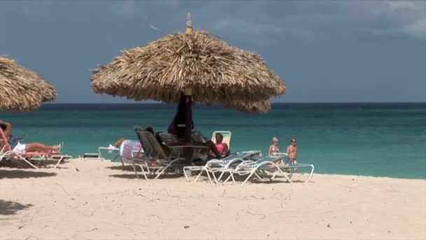 Beach with people on Aruba — Stock Video