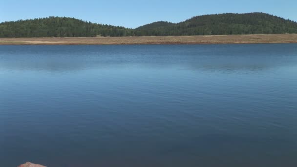 Lago y orilla en Pinetop-Lakeside — Vídeos de Stock