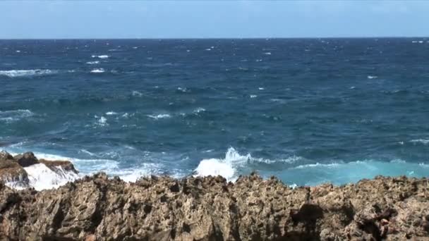 Ironshore op Aruba island — Stockvideo