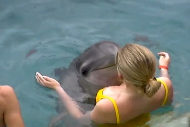 Дельфин целует женщину — стоковое видео