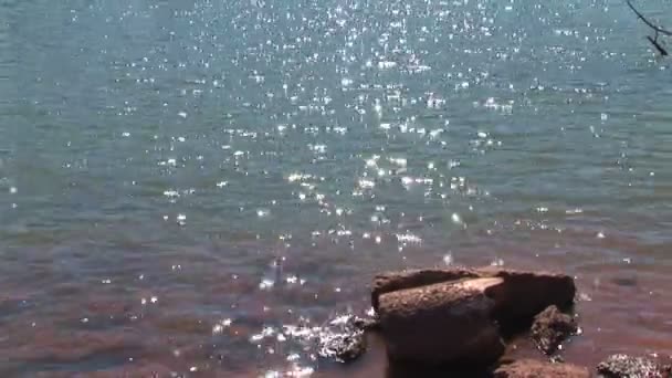 Sun Sparkles no lago no Arizona — Vídeo de Stock