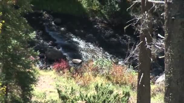 Потоку в ущелину на Пайнтоп Lakeside — стокове відео