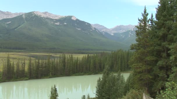 在加拿大的弓河 — 图库视频影像