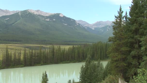 Bow River i Kanada — Stockvideo