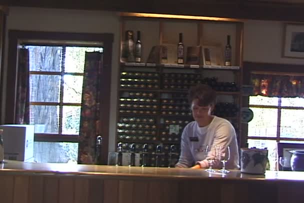 Bar en la tienda de vinos — Vídeos de Stock