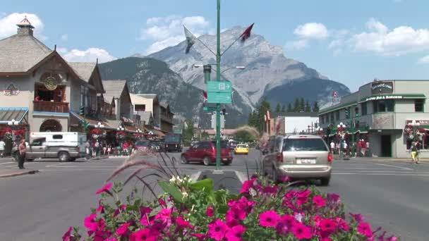 Centrum van de stad Banff — Stockvideo