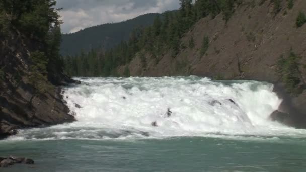 Chutes sur la rivière Bow — Video