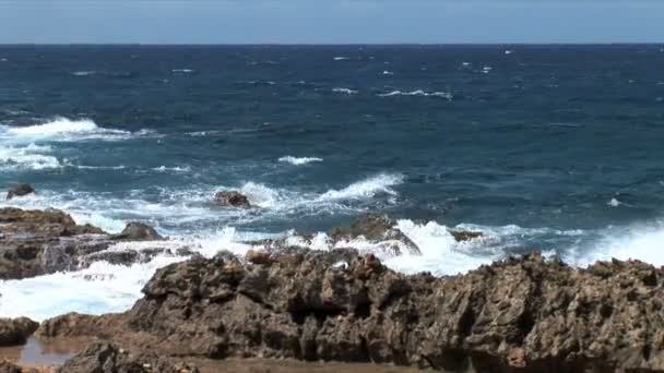 Ironshore en la isla Aruba — Vídeos de Stock
