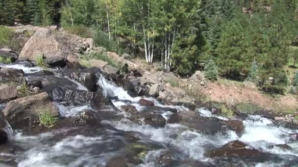 在白山湖畔石块流 — 图库视频影像
