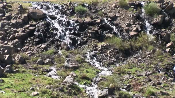 Lake Runoff a Pinetop-Lakeside — Video Stock