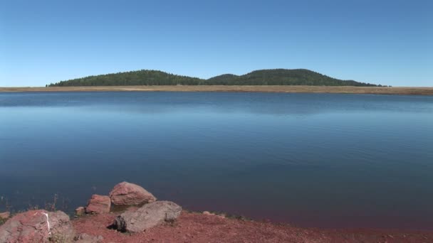 See und Ufer am Kiefernwipfelsee — Stockvideo