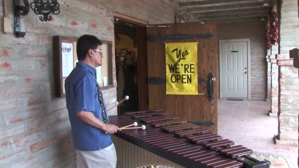 Marimba-Spieler in arizona — Stockvideo