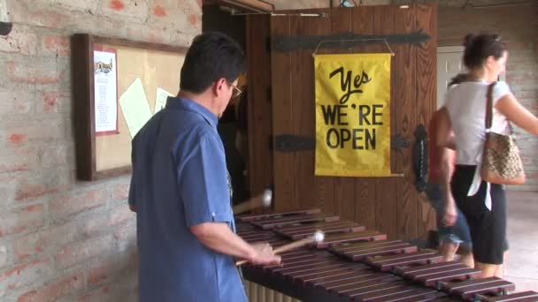 Marimba oyuncu Arizona — Stok video