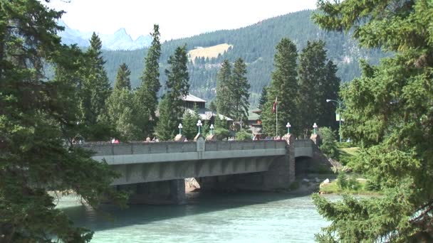 Bro över Bow river i Banff stad — Stockvideo