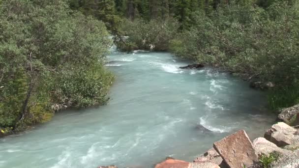 Stream från Lake Louise — Stockvideo