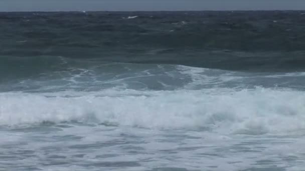 Costa Norte con olas en Aruba — Vídeo de stock