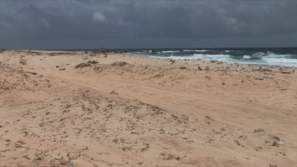 Nordufer mit Dünen auf Araba — Stockvideo