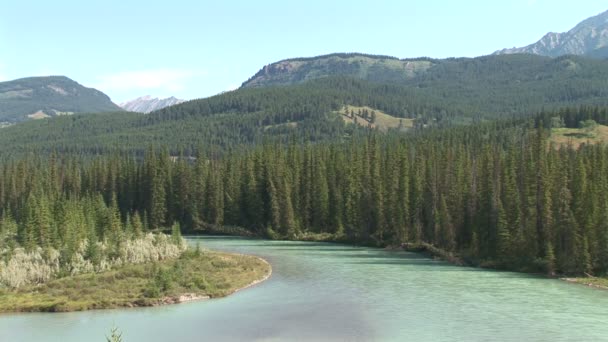 Bow River i Kanada — Stockvideo