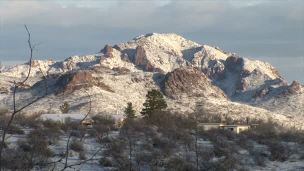 Snöiga öknen och bergen i Arizona — Stockvideo