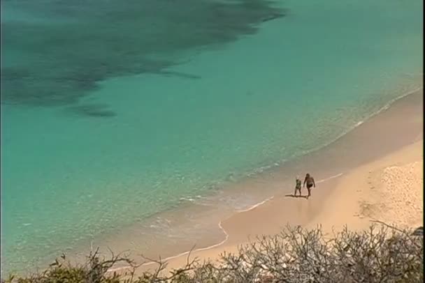 Couple marchant sur la plage — Video