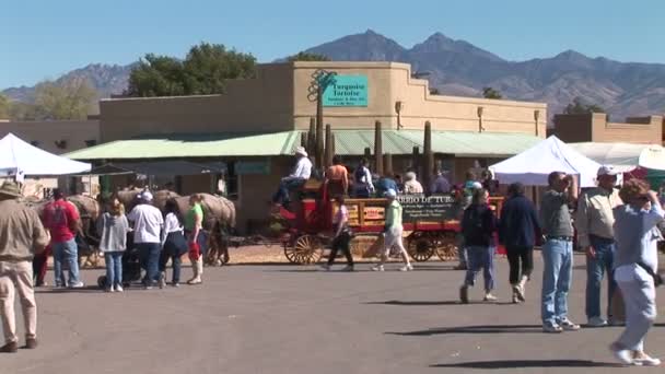 Horse Carriage on Fair in Tubac city — Stock Video