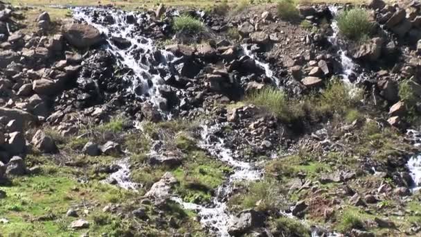 Lake Runoff a Pinetop-Lakeside — Video Stock