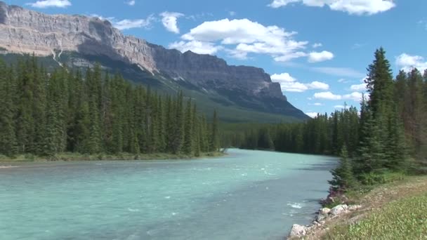 Bow River in Canada — Stock Video