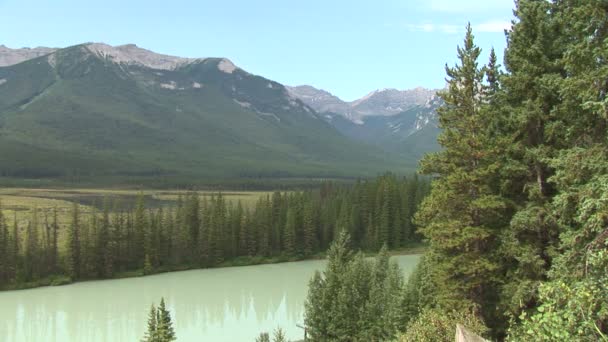 Río Bow en Canadá — Vídeo de stock