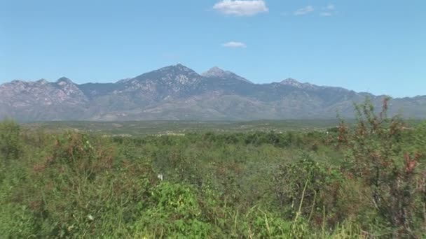 Santa Rita βουνά στην Αριζόνα — Αρχείο Βίντεο