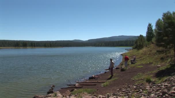 Fishermen on lake coast — Stock Video