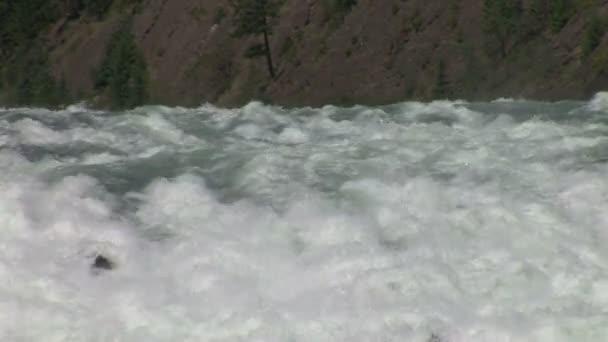 Faller på Bow river — Stockvideo