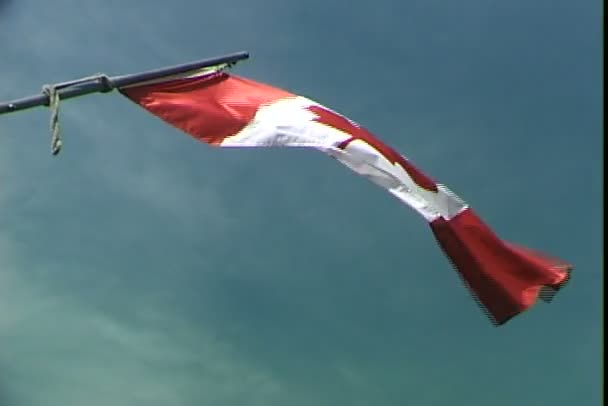 Gökyüzü mavi zemin üzerine Kanada bayrağı — Stok video