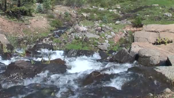 Arroyo en piedras en Pinetop-Lakeside — Vídeo de stock