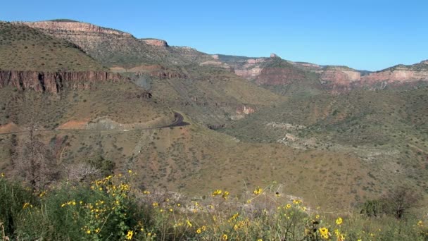 Rivière Salt dans le Canyon en Arizona — Video