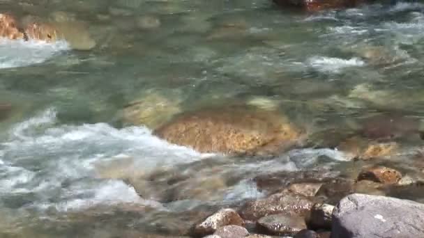 Ροή στο ποτάμι βουνό — Αρχείο Βίντεο