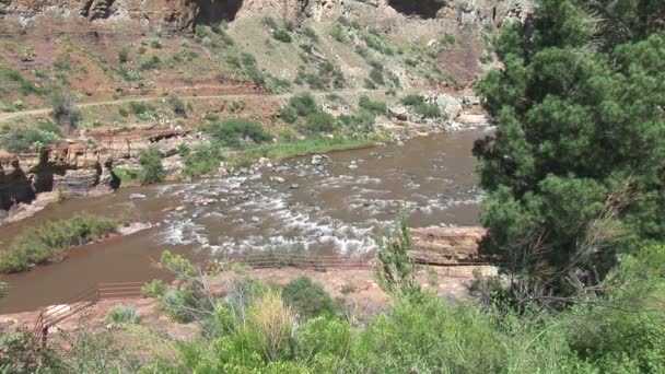Zout rivier in Arizona — Stockvideo