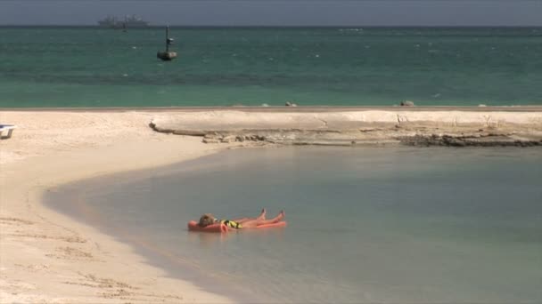 Shore Beach na Aruba — Stock video