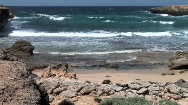 Cove op rotsachtige kust — Stockvideo