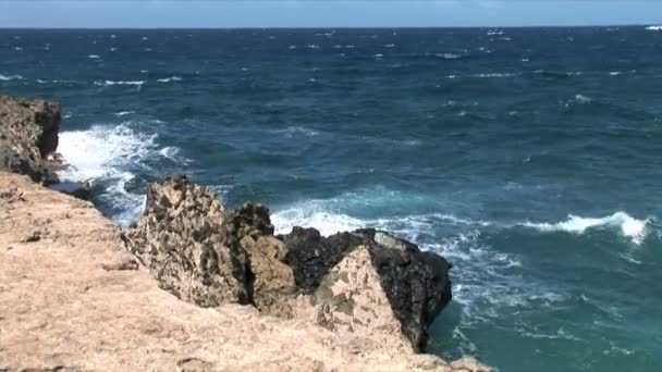 Cliff na costa oceânica — Vídeo de Stock