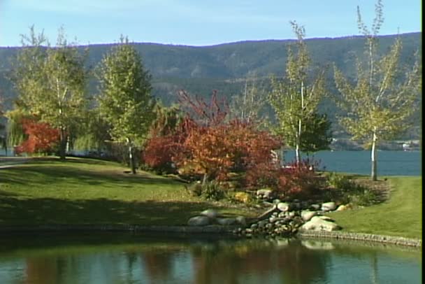 Estanque en el parque Kelowna — Vídeo de stock