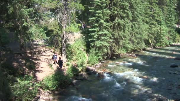 Hikers at mountain stream — Stock Video