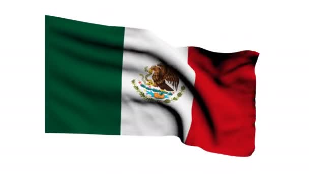 Vlag van mexico — Stockvideo