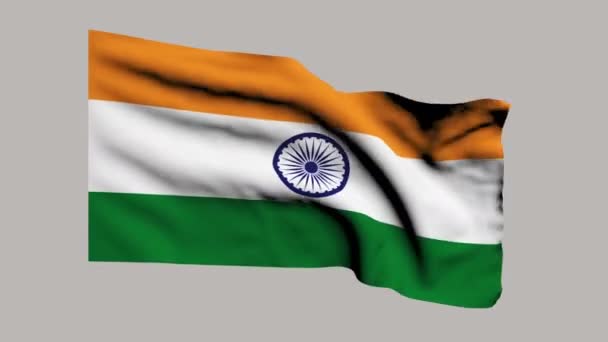 Indická vlajka — Stock video
