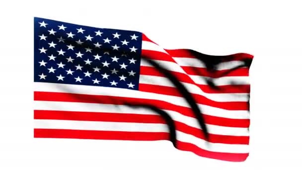 Flagge der USA — Stockvideo