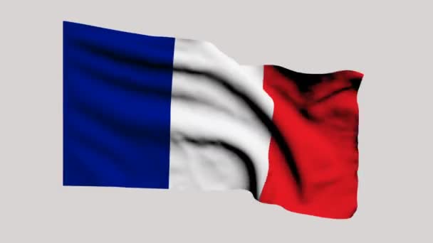 Bandera de France — Vídeo de stock