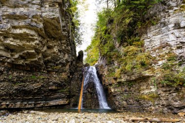 Şelale, Bukove. Karpat Dağları. Karpatlar. Ukrayna.