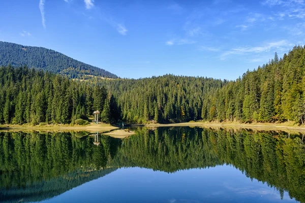 Lake Synevir. Ukrayna. 